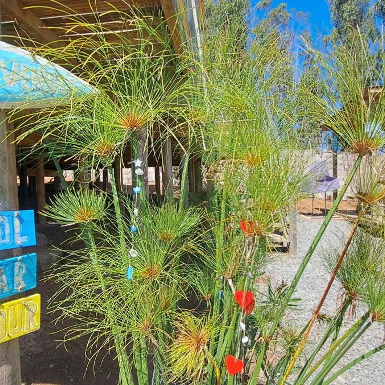 Algarrobo Tinaja Caliente Privada Lista para Disfrutar - Casa de 2 dormitorios - 27
