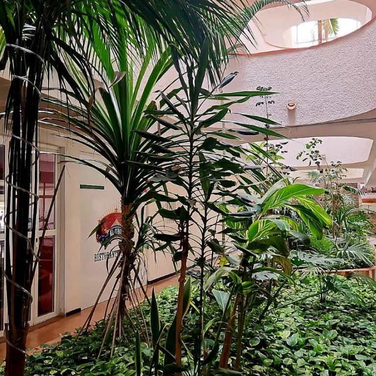 Yumbo Tinache Luxury Maspalomas - One-Bedroom Apartment - 27