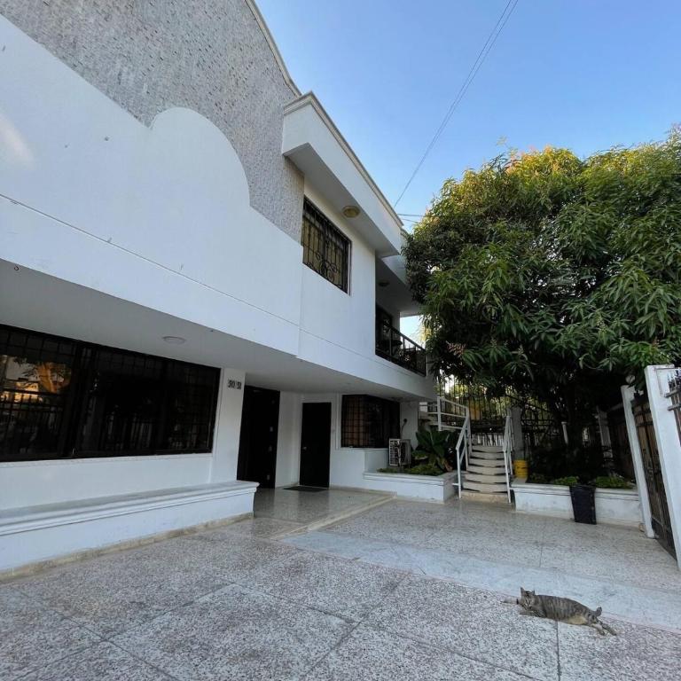 Loft Deluxe - Nuevo, Acogedor, Integral, Ubicación inmejorable - Estudio Deluxe - 22