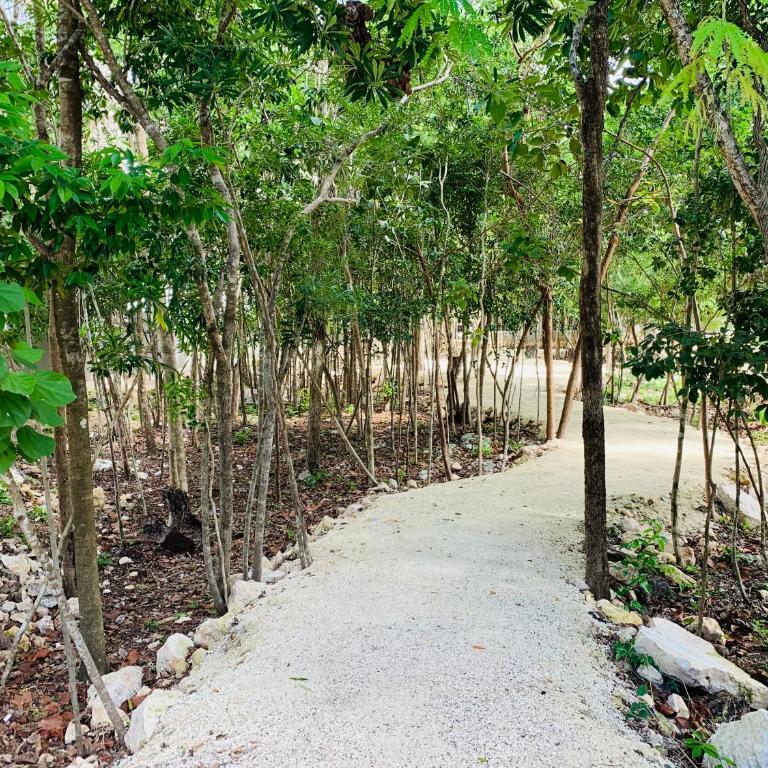 Gran dpto de lujo PLAYA - Apartamento de 3 dormitorios - 19