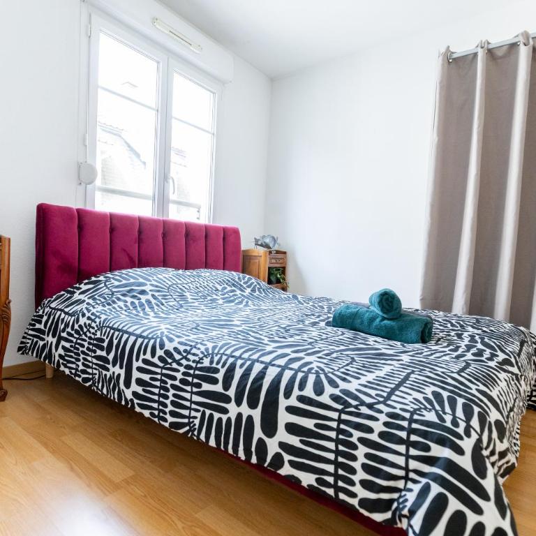 Theatre 27 Logement Hyper Centre Mulhouse Parking - Apartment mit 1 Schlafzimmer - 13