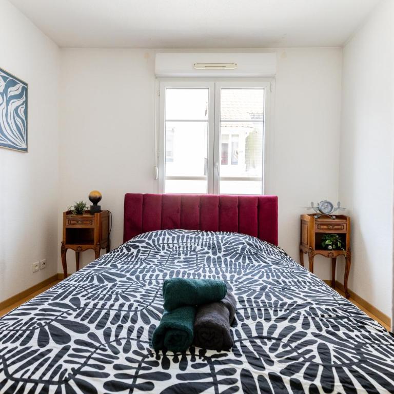 Theatre 27 Logement Hyper Centre Mulhouse Parking - Apartment mit 1 Schlafzimmer - 14
