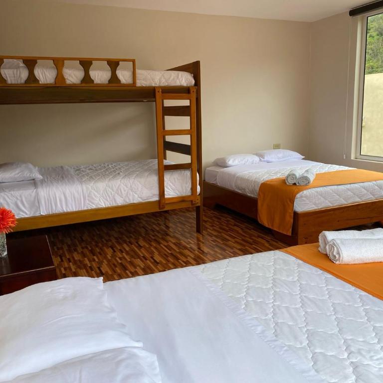 Shannon 360 Hotel Ejecutivo - Habitación Familiar Deluxe - 3