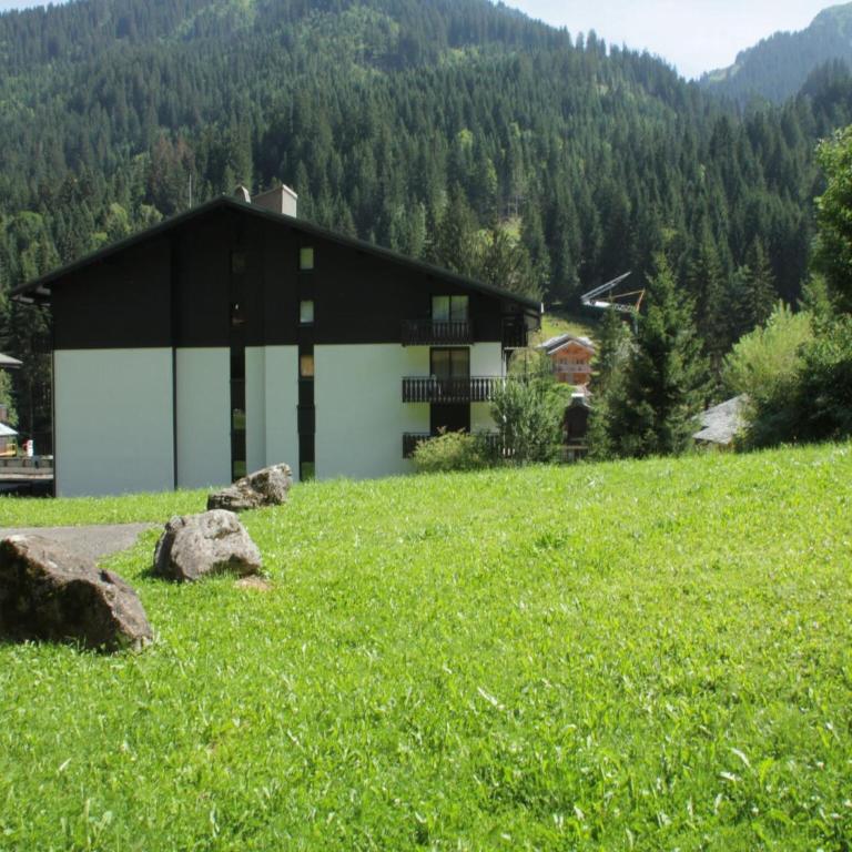 Apartment in Chatel with private terrace - Apartment - 16