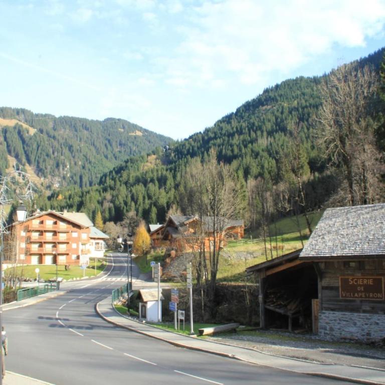 Apartment in Chatel near Cable Car - Appartement 1 Chambre - 19