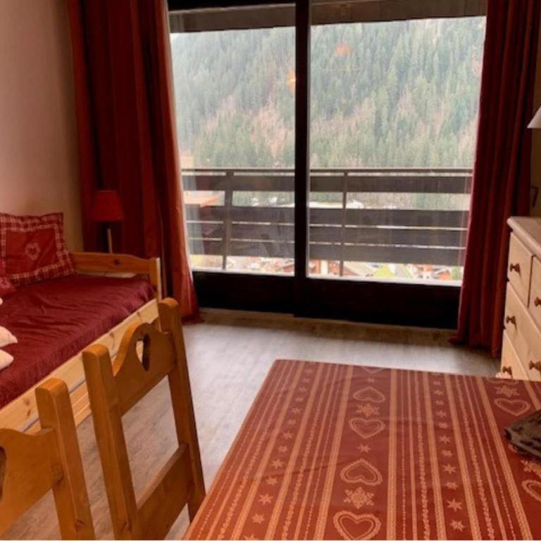 Apartment in heart of Chatel - Apartment - 10