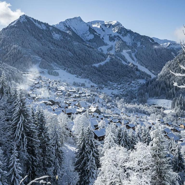 Apartment in Portes du Soleil ski area - Apartamento de 1 dormitorio - 18