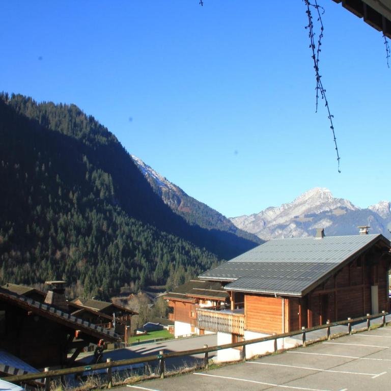 Apartment in Portes du Soleil ski area - Apartamento de 1 dormitorio - 16