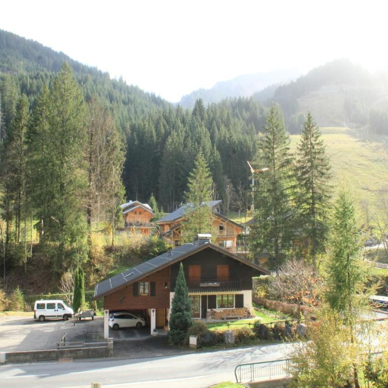 Apartment in Châtel near Linga Cable Car - Appartement 1 Chambre - 17