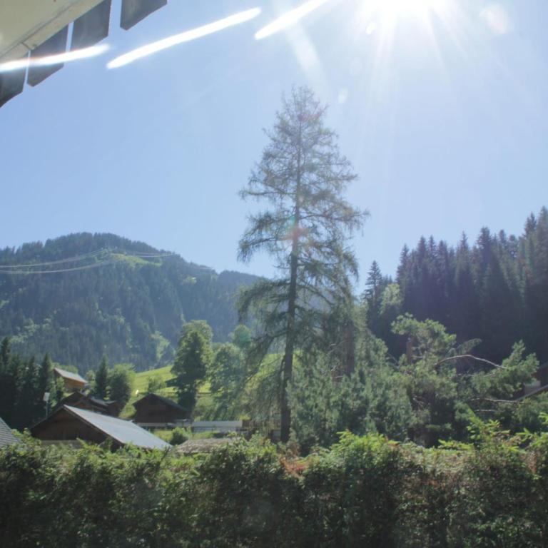 Apartment for 6 people in Chatel - Two-Bedroom Apartment - 17