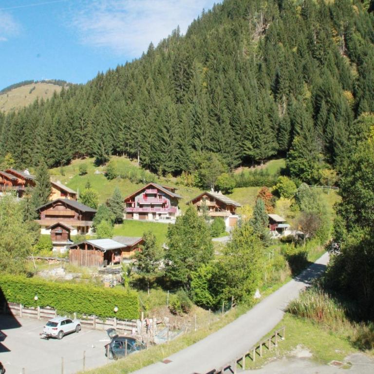 Studio in Châtel near Portes du Soleil Ski Area - Apartment - 11