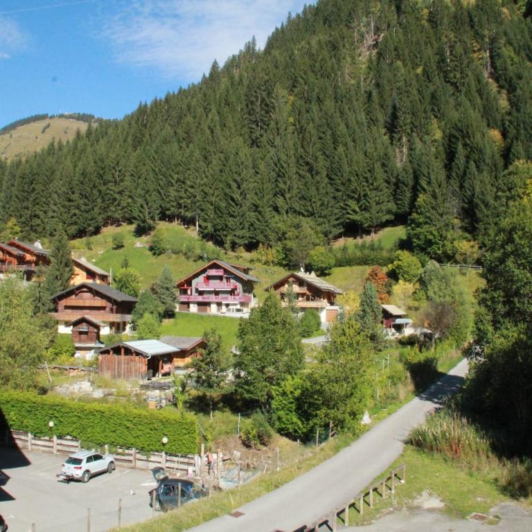 Studio in Châtel near Portes du Soleil Ski Area - Apartment - 29