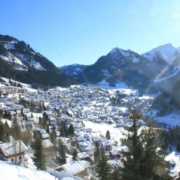 Studio in Châtel near Portes du Soleil Ski Area - Apartment - 27