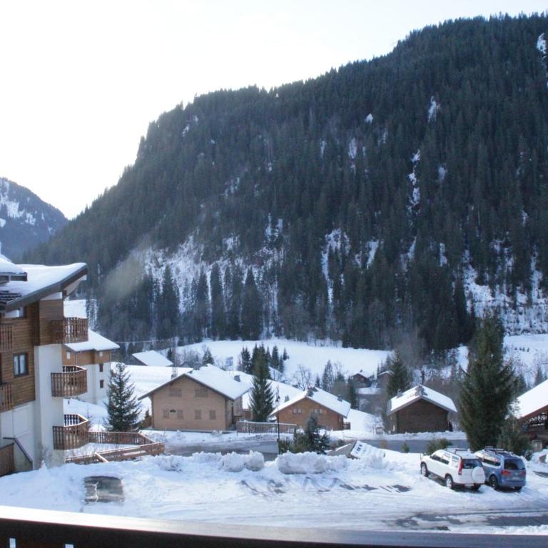 Jonquilles apartment for 4 people - Appartement 1 Chambre - 28