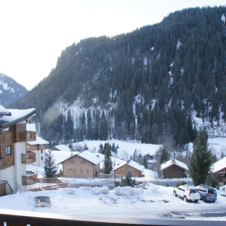 Jonquilles apartment for 4 people - Appartement 1 Chambre - 10