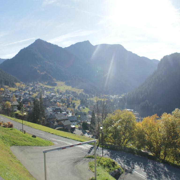Apartment in Chatel for 3 people - Apartamento - 17