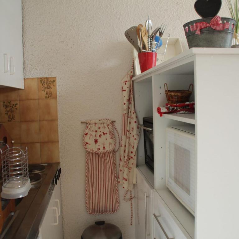 Apartment in Chatel for 3 people - Apartamento - 11