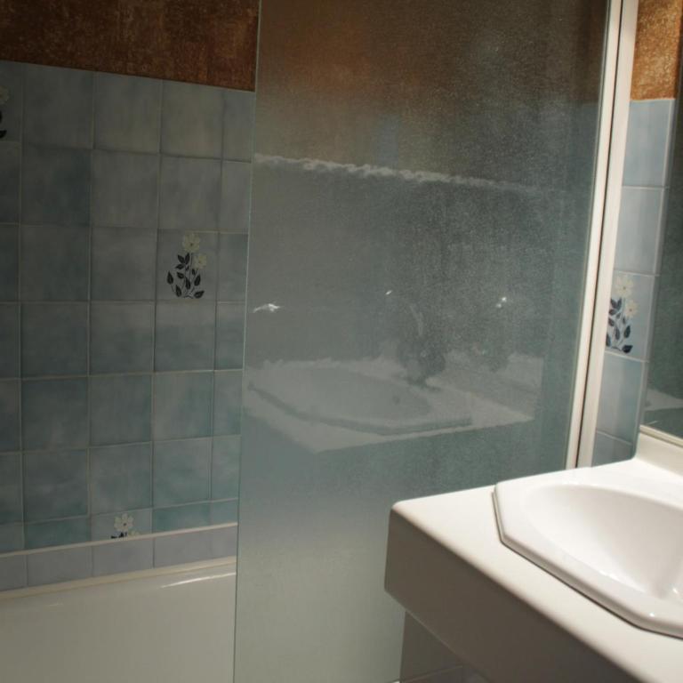 Apartment in Chatel for 3 people - Apartamento - 14