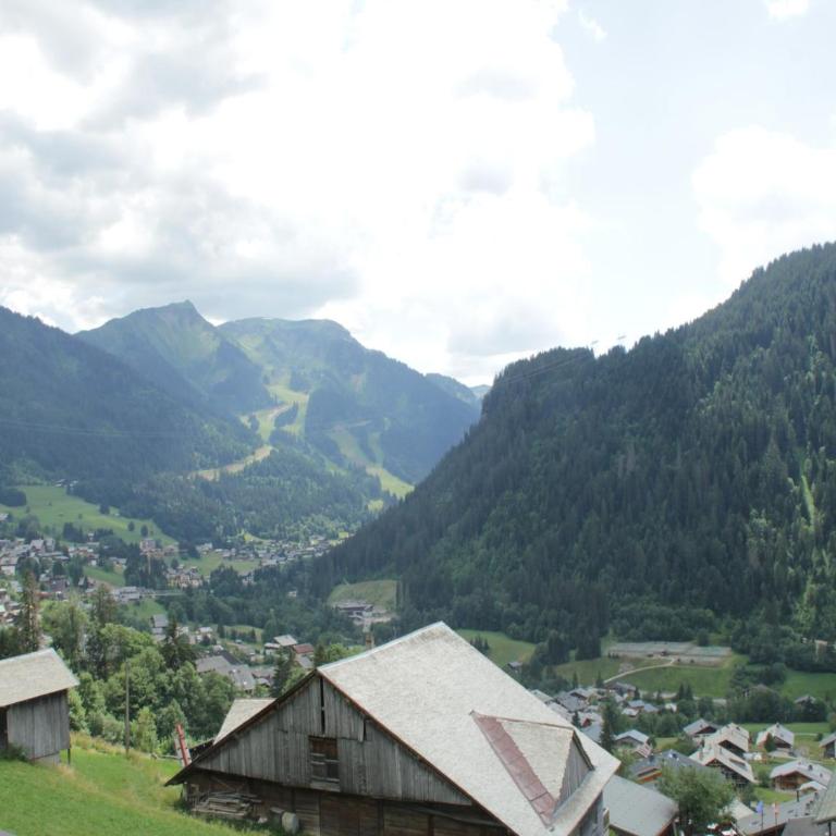 Apartment in Chatel for four people - One-Bedroom Apartment - 17