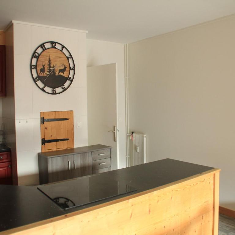 Apartment with parking in Chatel - Appartement 1 Chambre - 14