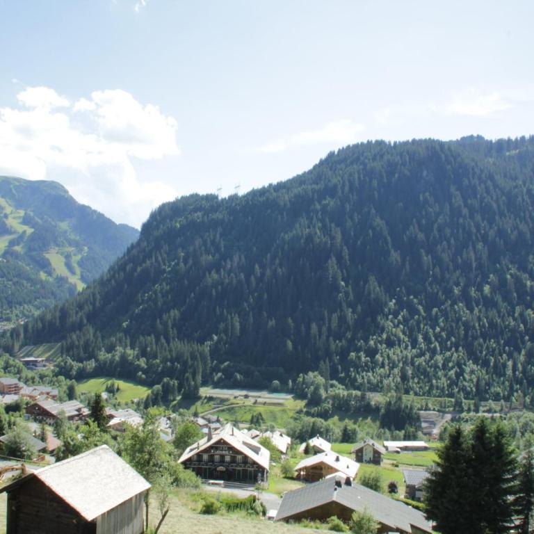 Apartment in Châtel with Stunning Mountain Views - Apartamento de 1 dormitorio - 19