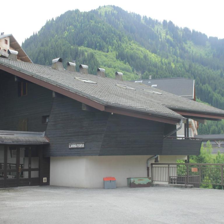 Apartment in Châtel near Ski Lifts & Views - Appartamento - 31