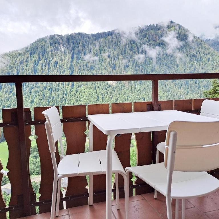 Apartment with parking near Ski area - Appartement 1 Chambre - 5