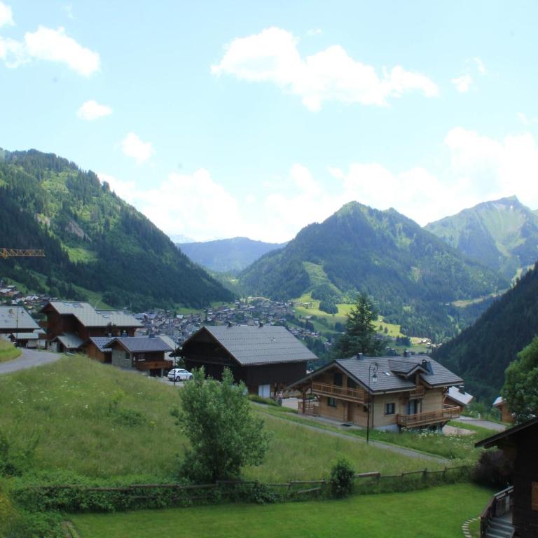 Apartment for 4 people in Chatel - Apartamento de 1 dormitorio - 17