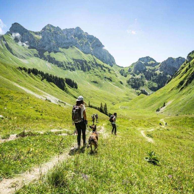 Apartment for 4 people in Chatel - Apartamento de 1 dormitorio - 14