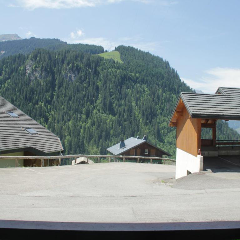 Apartment in Abondance Valley with Balcony Views - Appartement 1 Chambre - 19