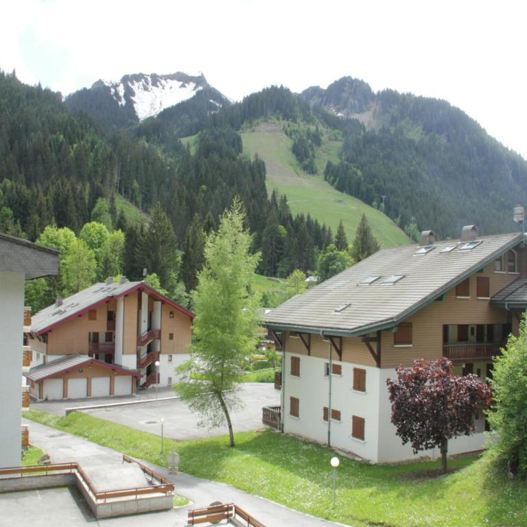 Apartment in Chatel near cable car - Apartment - 18
