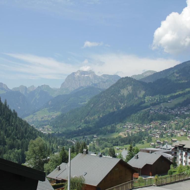 Apartment in Vonnes area of Châtel - One-Bedroom Apartment - 18