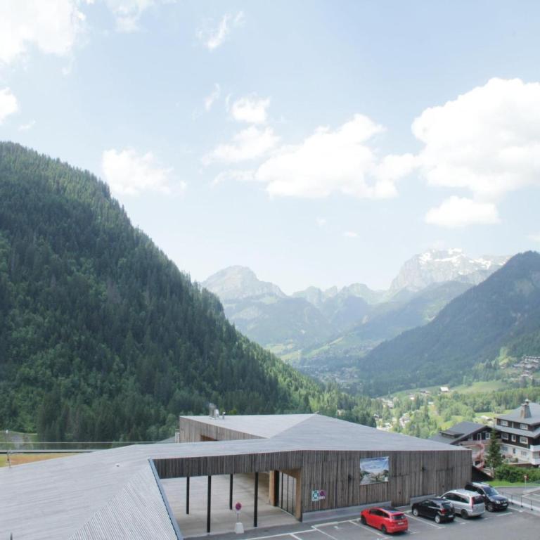 Apartment with private garage in Chatel - One-Bedroom Apartment - 11