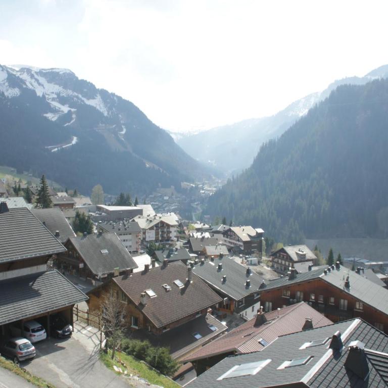 Cozy apartment in heart of Chatel - Appartement - 29
