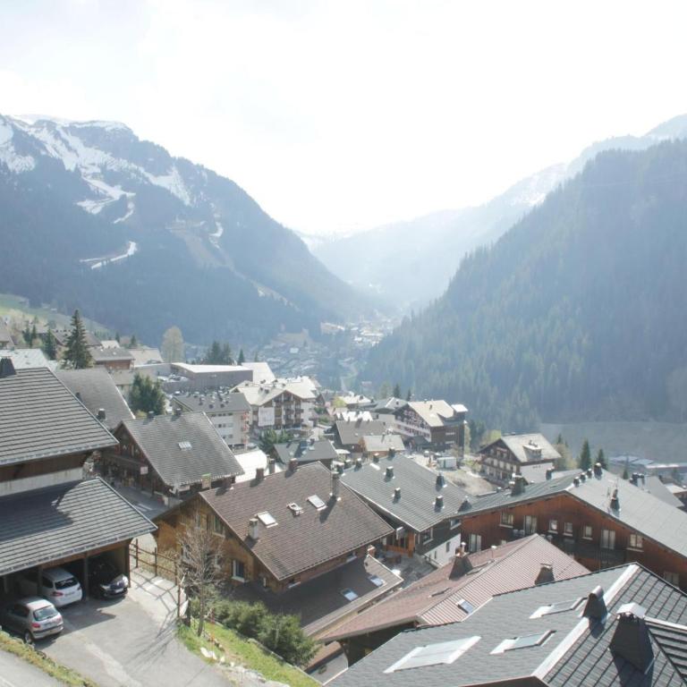 Cozy apartment in heart of Chatel - Appartement - 10