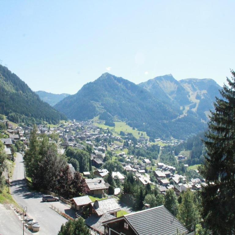Apartment in Petit Châtel near Cable Car - Apartamento de 3 dormitorios - 13