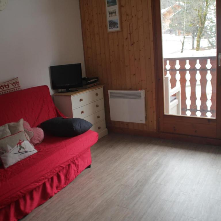 Apartment near Ski area in Chatel - Apartamento - 9
