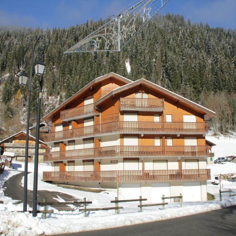 Apartment near Ski area in Chatel - Apartamento - 14
