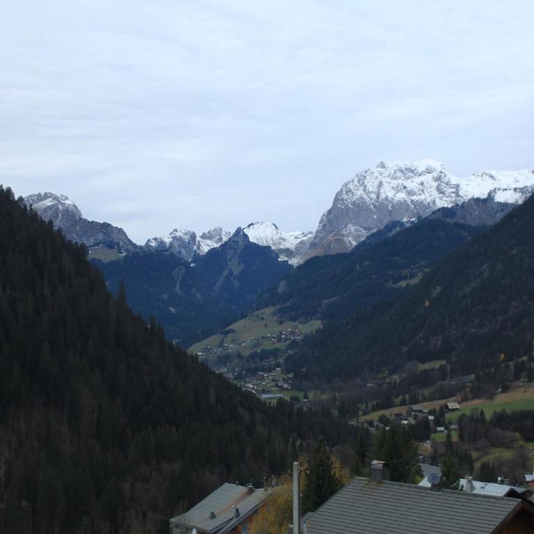 Apartment near free shuttle stop - Apartamento de 1 dormitorio - 17