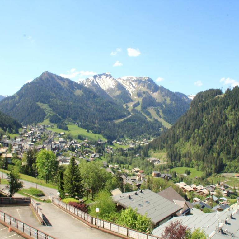 Apartment in Chatel near Chairlift - Apartamento de 2 dormitorios - 19