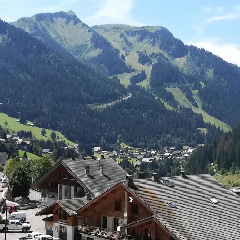 Apartment near centre Chatel with balcony - Apartamento de 2 dormitorios - 4