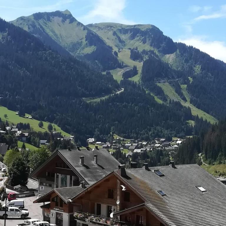 Apartment near centre Chatel with balcony - Apartamento de 2 dormitorios - 23