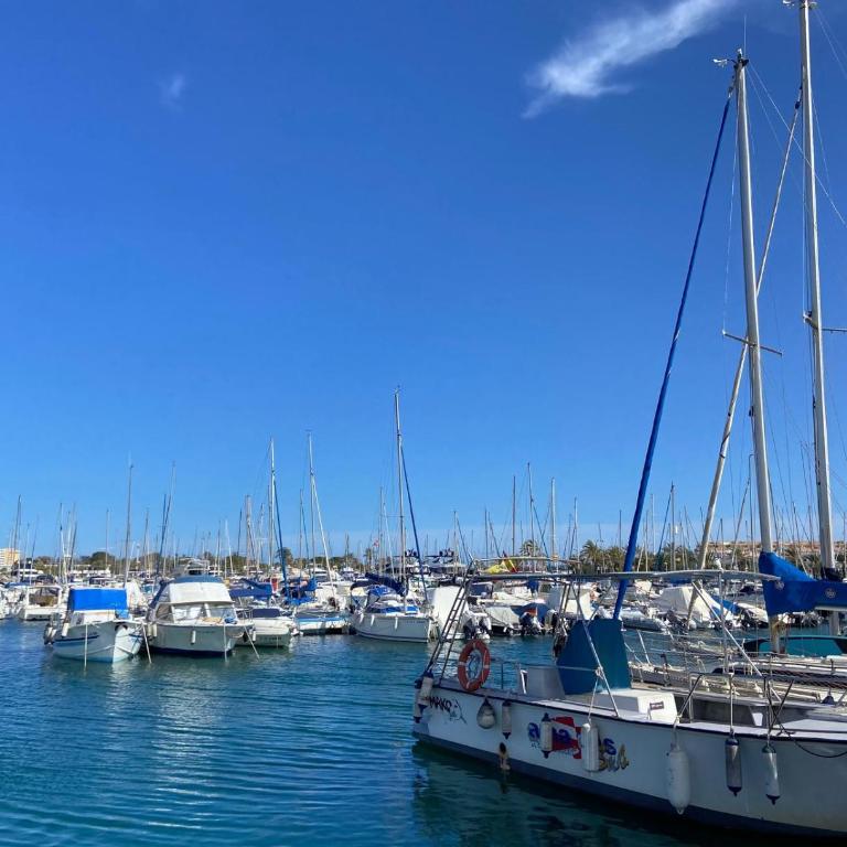 La Manga Caralmar Paraíso - Apartment mit 2 Schlafzimmern - 47