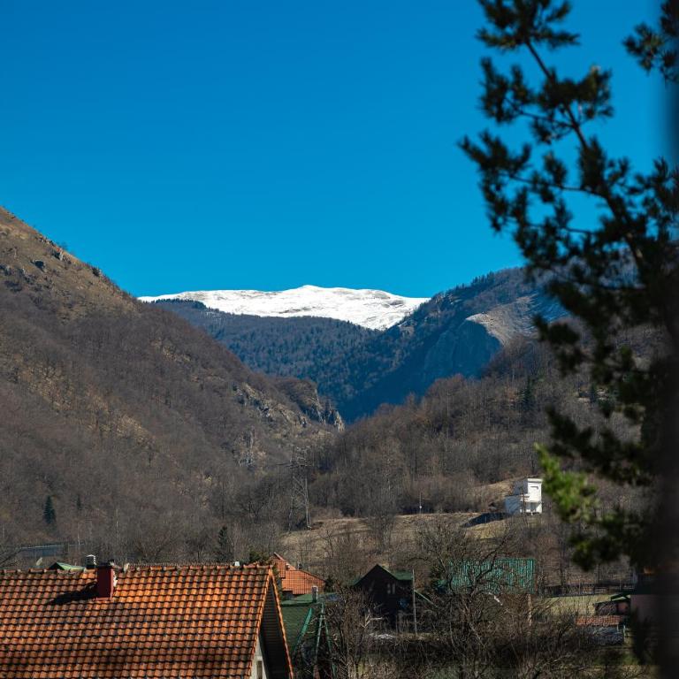Greywood Apartments - Apartman sa 1 Spavaćom Sobom - 15