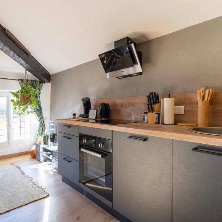 Sun dreams, centre ville historique, 10 minutes de Cannes - Appartement 1 Chambre - 20