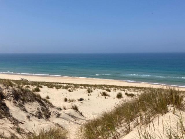 Villa neuve 300 m plage sud 3 chambres - Villa - 19