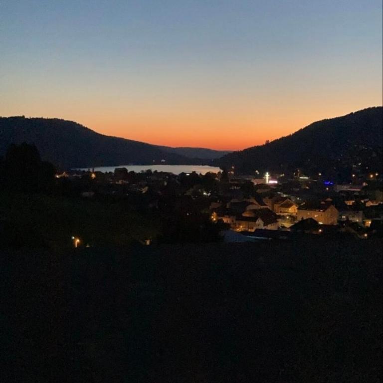 Les Tilleuls - vue sur le lac - 3 étoiles - Appartement 2 Chambres - 4