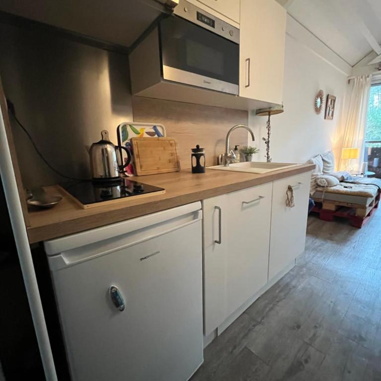 Séjour nature et détente dans la pinède - Appartement 2 Chambres - 2