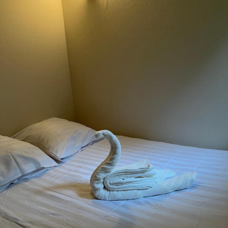 Séjour nature et détente dans la pinède - Appartement 2 Chambres - 12
