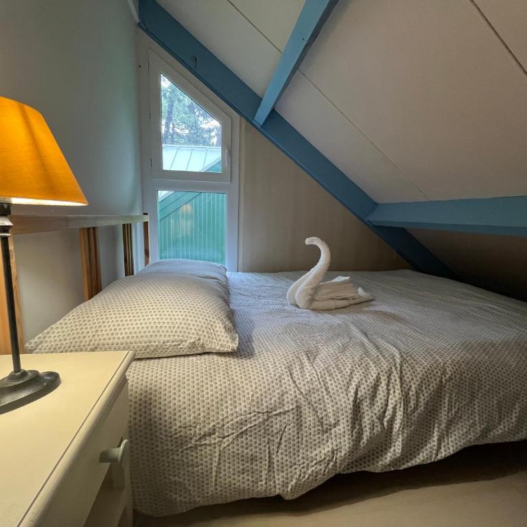 Séjour nature et détente dans la pinède - Appartement 2 Chambres - 16